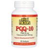 Natural Factors, CoQ10 200 мг+ PQQ, 60 гелкапс.