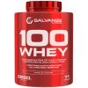 Galvanize Nutrition, 100 Whey, 2280 г.