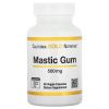 California Gold Nutrition, Мастиковая смола 500 мг, 60 капс.
