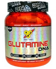BSN, Glutamine DNA, 309 г.