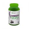 SAMBUCUS NIGRA (бузина черная)