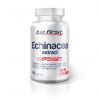Be First, Echinacea extract capsules 90 капс.