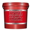 SCITEC NUTRITION, WHEY PROTEIN PROFESSIONAL, 5000 г.